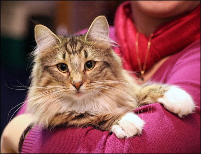 Titran's Mathilde 3.jpg - Titran's Mathilde